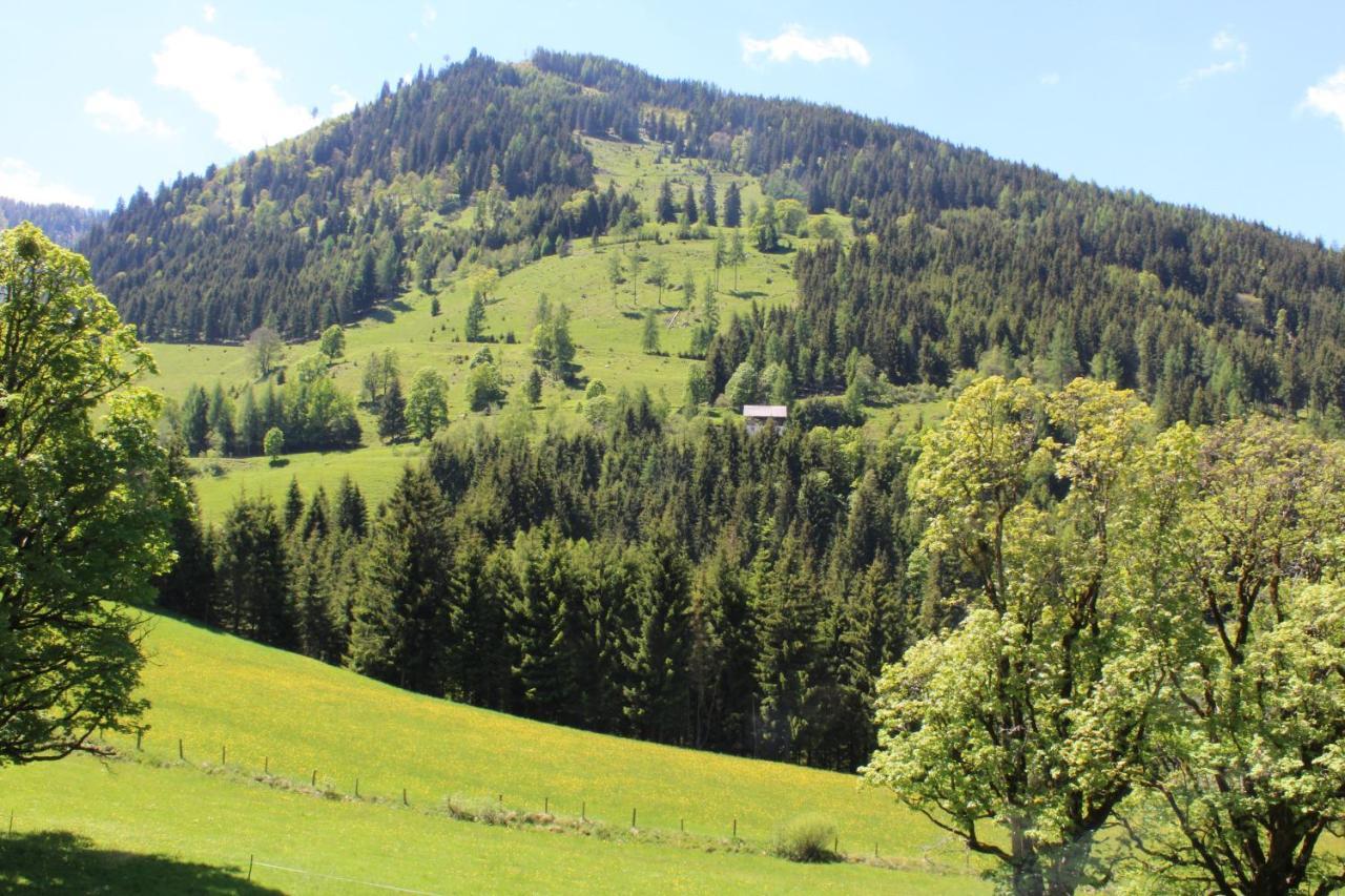 Zauneralm アイヒ エクステリア 写真